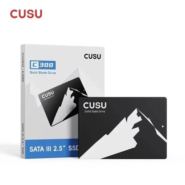 SSD 256 GB CUSU