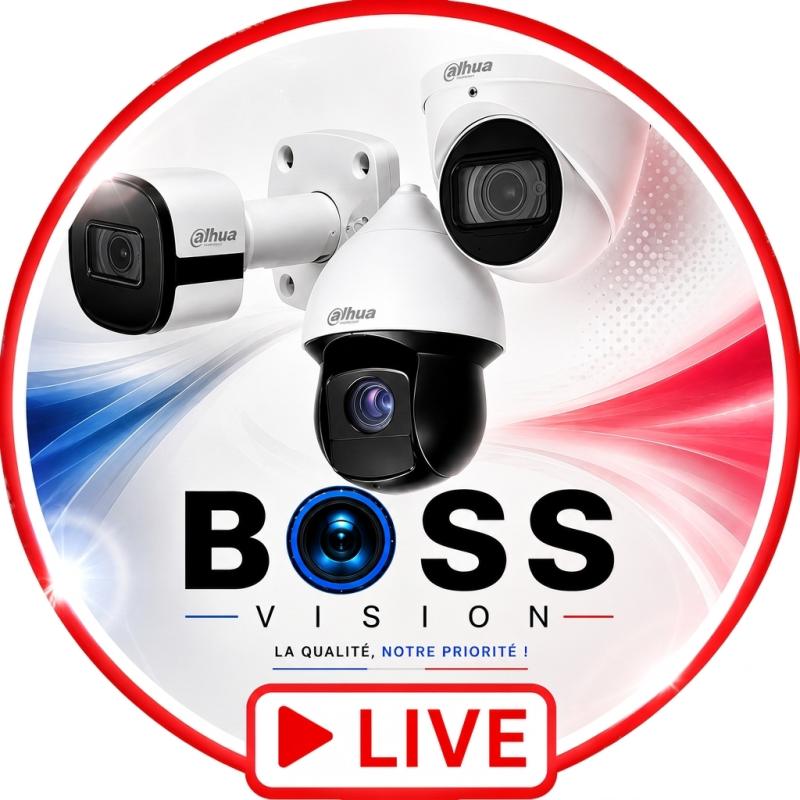 Logo Boss Vision