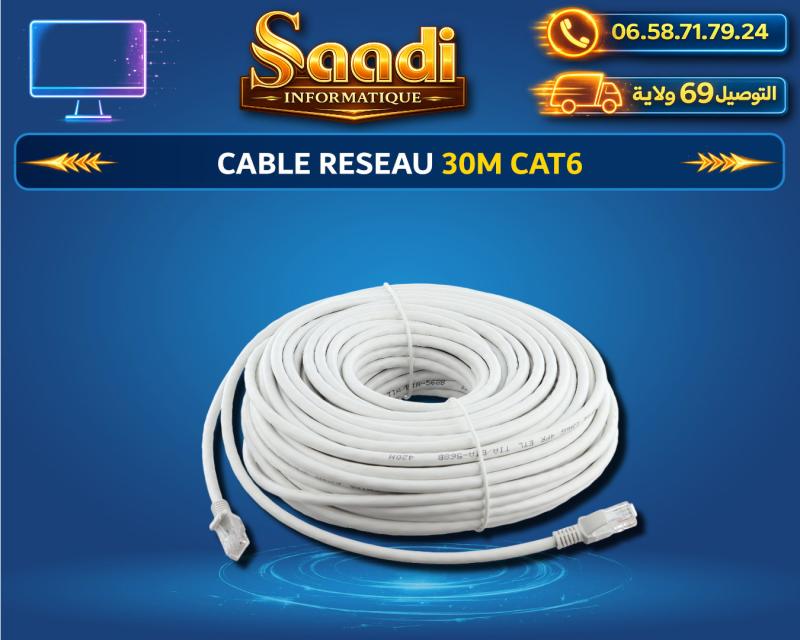 CABLE RESEAU 30M CAT6