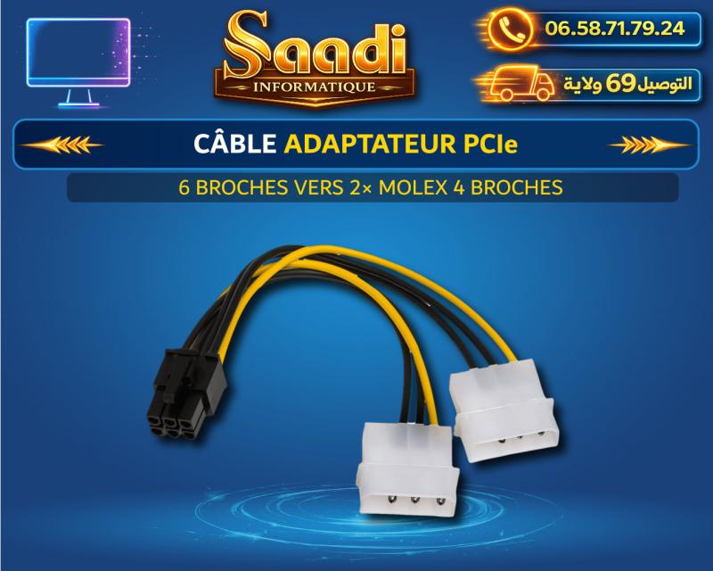 CABLE ADAPTATEUR PCIe 6 BROCHES VERS 2× MOLEX 4 BROCHES
