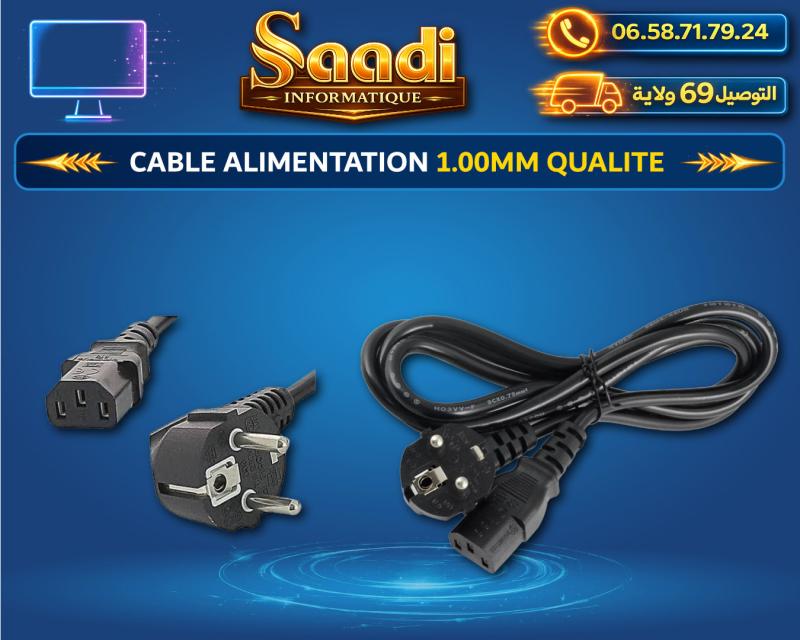 CABLE ALIMENTATION PC QUALITE 1.00MM