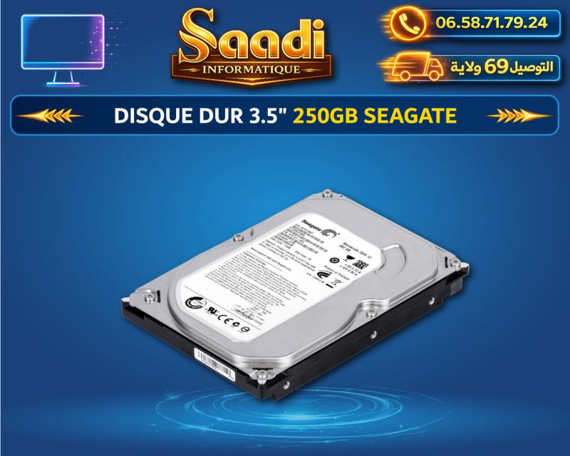 DISQUE DUR SATA 3.5" 250GB SEAGATE