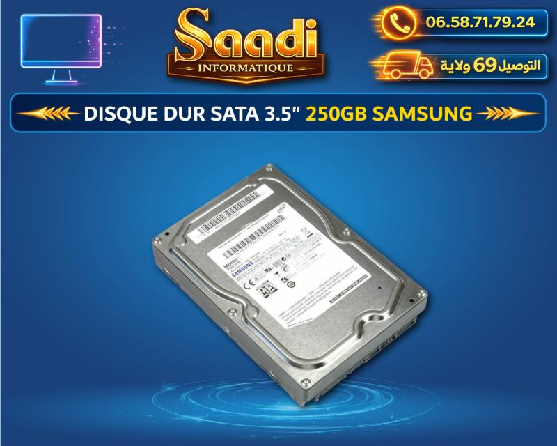 DISQUE DUR SATA 3.5" 250GB SAMSUNG