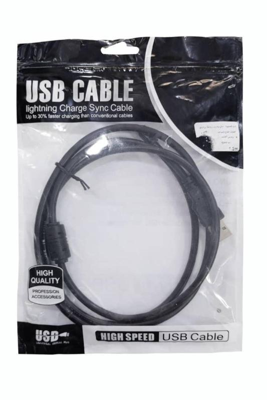 Cable USB 2.0 4 Pin MP4 1.2M